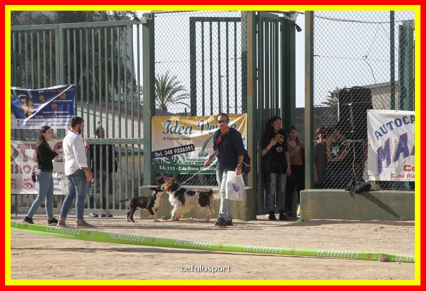 180311 mostra_canina 073.jpg